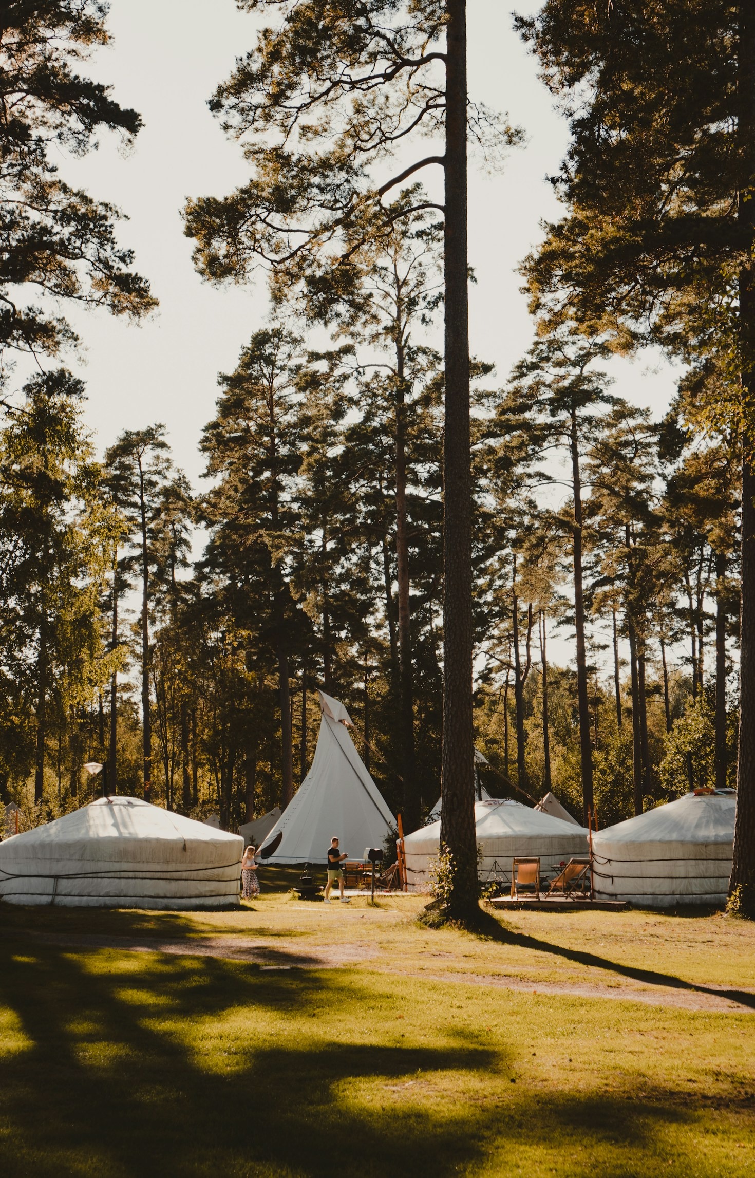 The Rise of Luxury Camping Across the Continent